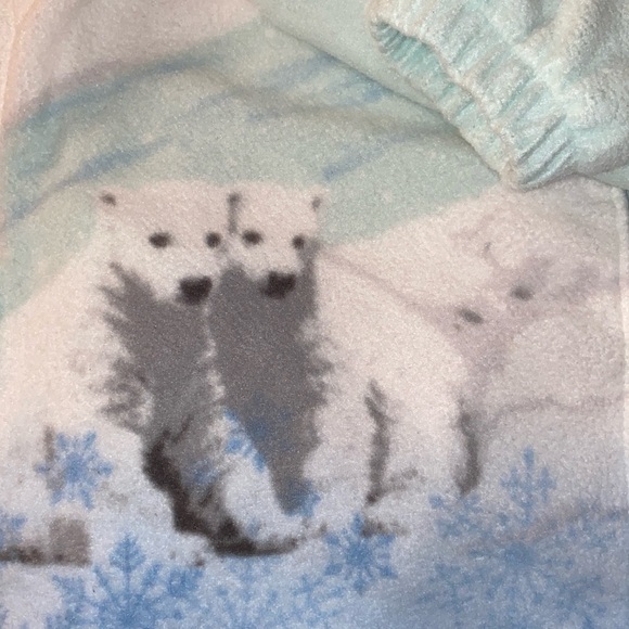 Women’s Vintage hooded full zip mint and blue fleece Jacket with polar bears S/M - Picture 14 of 15